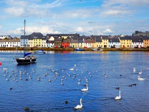 Antares Vision to establish a Software Development Centre in Galway